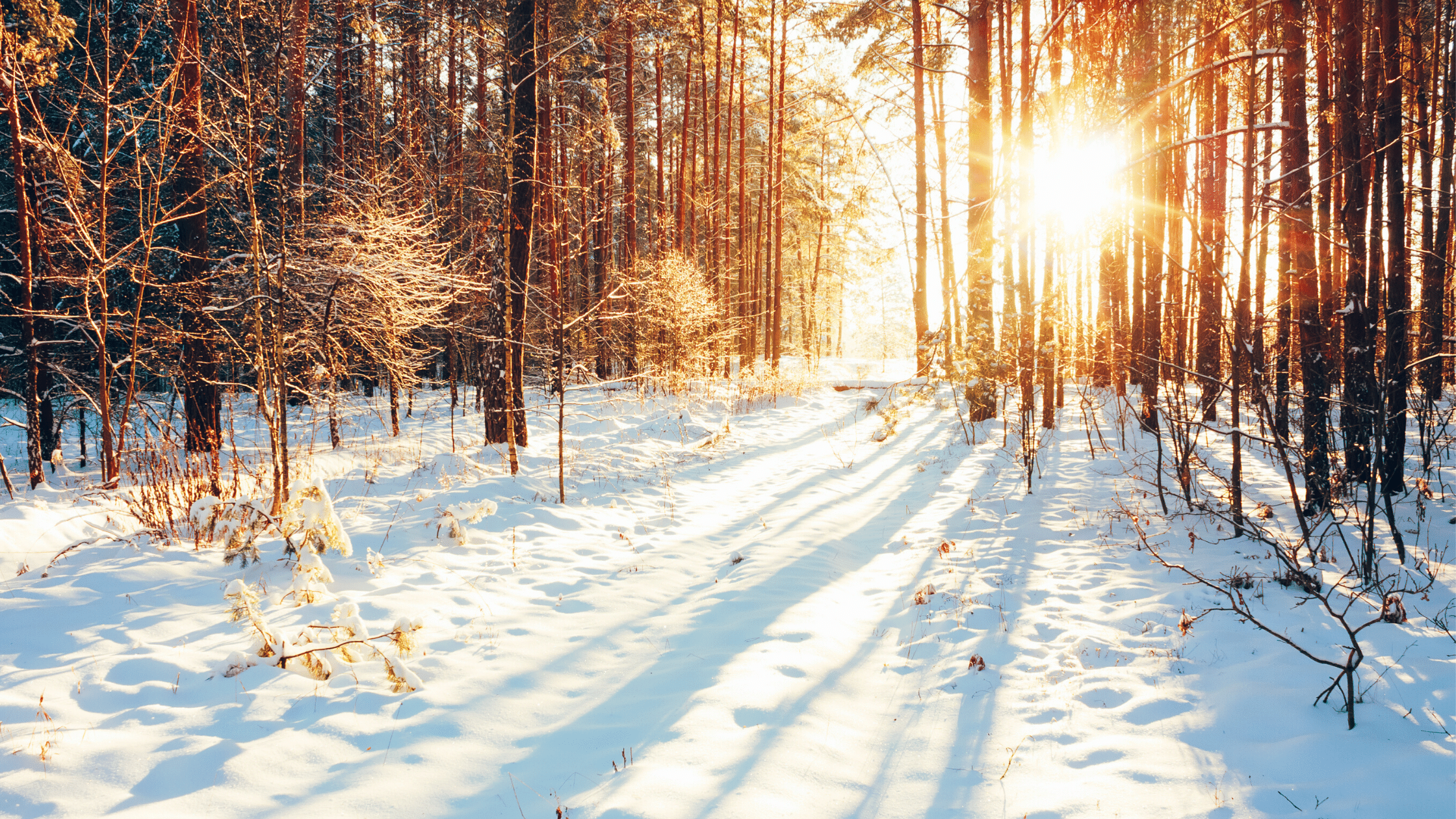 Winter wellbeing strategies: self-care in the colder months | Mental ...